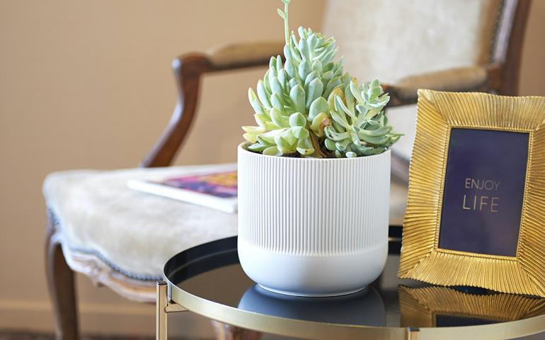 Ginkgo Solutions - Assistance business