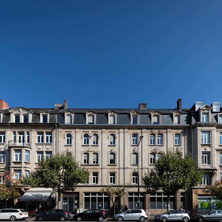 Ginkgo Center: The Avenue