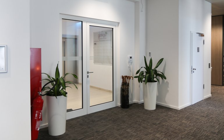 The Southlane - Ginkgo Solutions Business Center